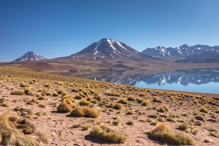 Atacamawoestijn