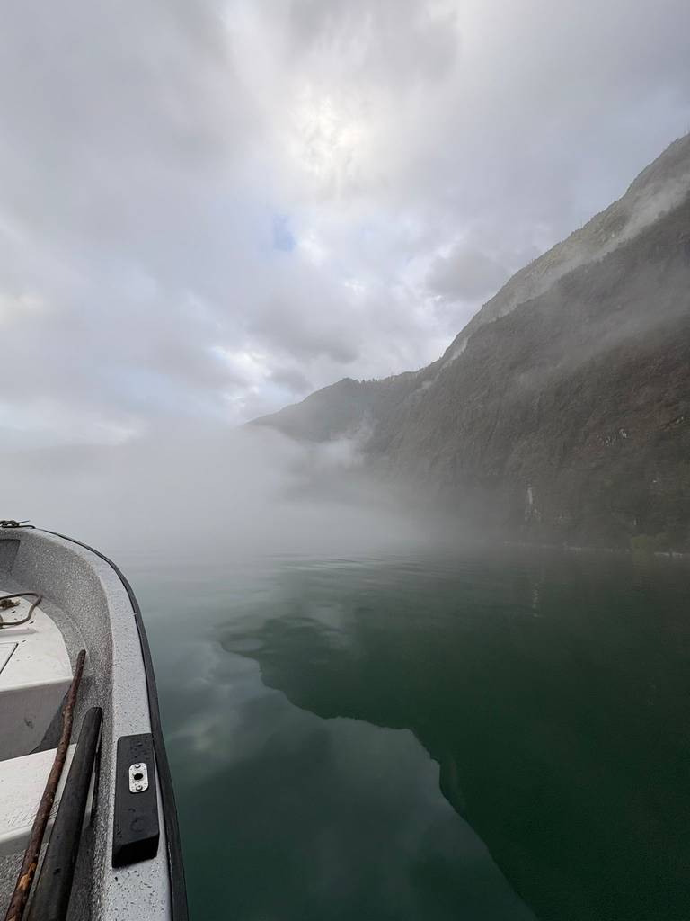 Boottocht op Lago Tagua Tagua