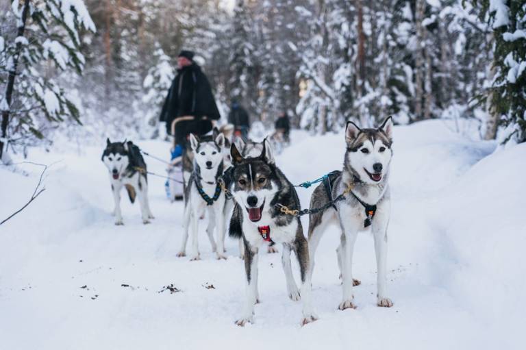 Finland