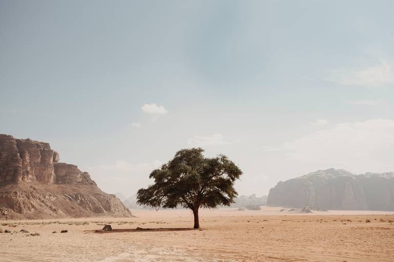 Landschap van Wadi Rum