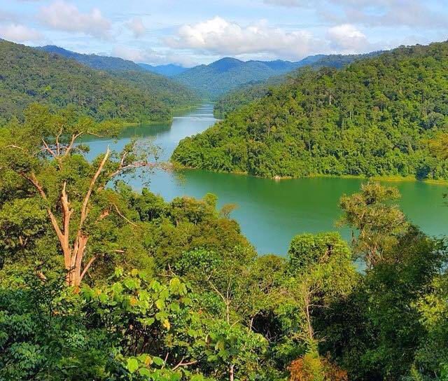 Belum Rainforest