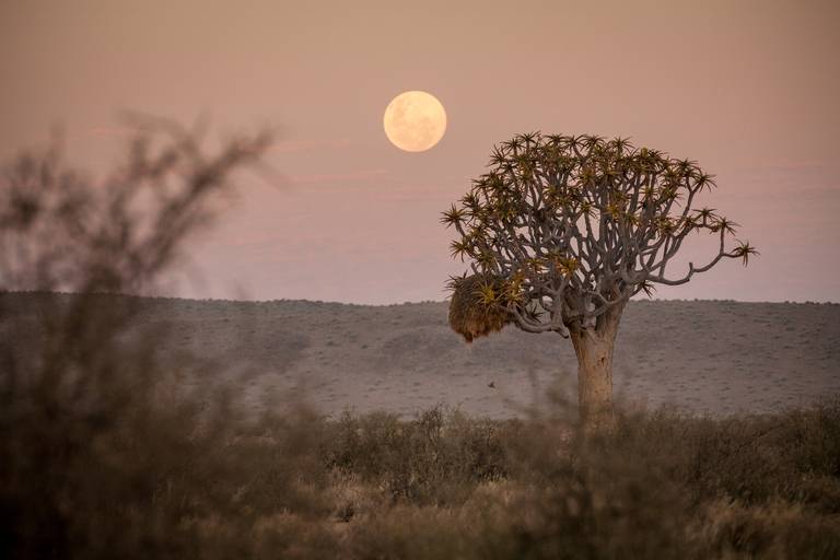 Volle maan in Fish River Canyon