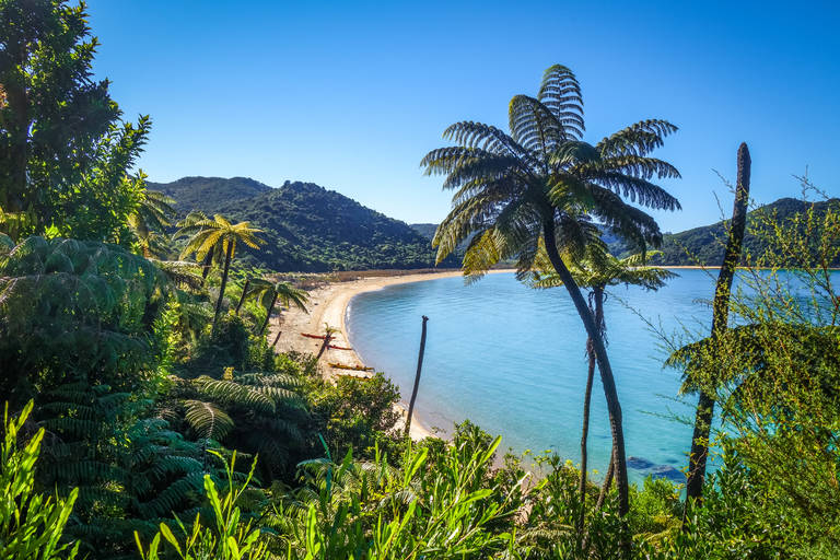 Strand Abel Tasman