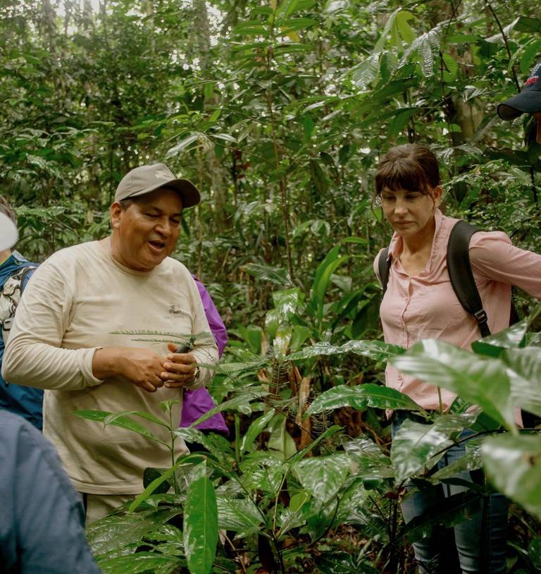 Rainforest hike