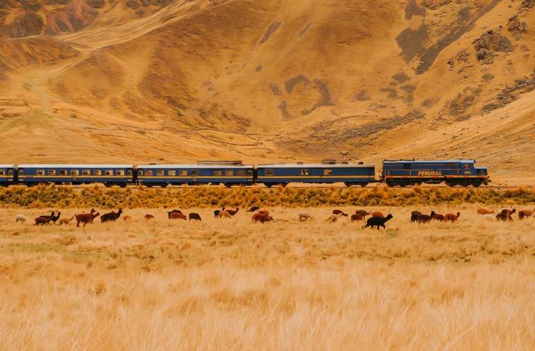 Titicaca trein