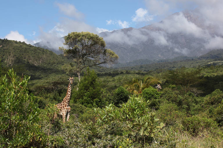 Arusha National Park