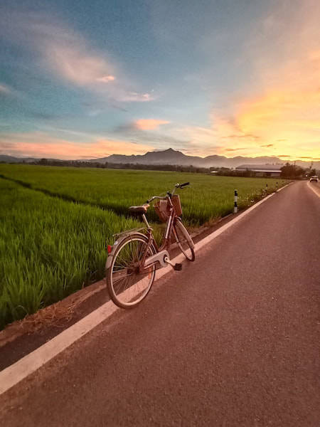 Fietsen in Chiang Mai