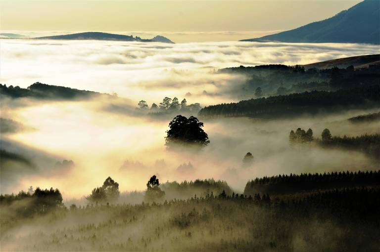 Landschap in de Magoebaskloof