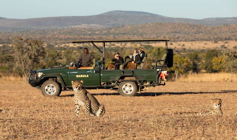 Op safari bij Mabula Game Lodge
